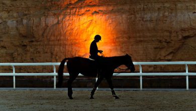 منزال يعود في نسخته الجديدة ليحتفي بالإرث الطبيعي للدرعية التاريخية