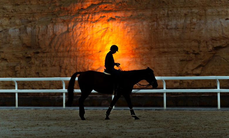 منزال يعود في نسخته الجديدة ليحتفي بالإرث الطبيعي للدرعية التاريخية