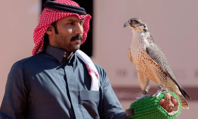 مهرجان الصقور يدخل مرحلة الحسم بأشواط كؤوس الملك