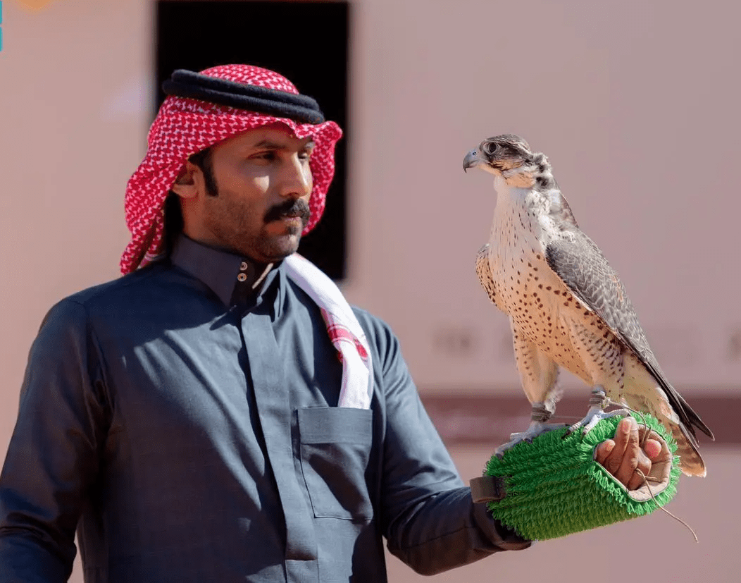 مهرجان الصقور يدخل مرحلة الحسم بأشواط كؤوس الملك