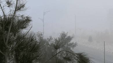 موجة باردة على عدد من المناطق اعتبارًا من السبت