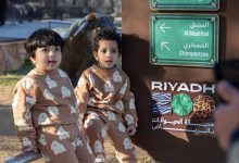 هندسة الترفيه الآمن.. "رياض زوو" تضع الأطفال في "زاوية الرؤية"