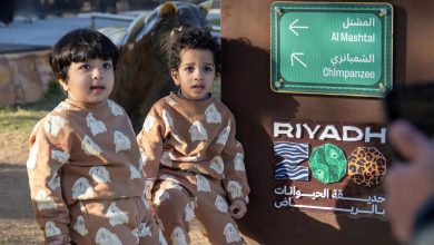 هندسة الترفيه الآمن.. "رياض زوو" تضع الأطفال في "زاوية الرؤية"