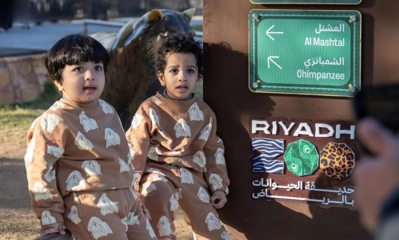 هندسة الترفيه الآمن.. "رياض زوو" تضع الأطفال في "زاوية الرؤية"