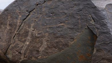 هيئة التراث ترصد 20 صخرة أثرية في قمم السودة