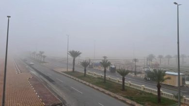 ينتهي في الثامنة صباحًا.. ضباب خفيف على المدينة وينبع