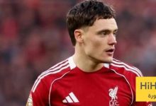 فيرتز : الأمر محبط للغاية