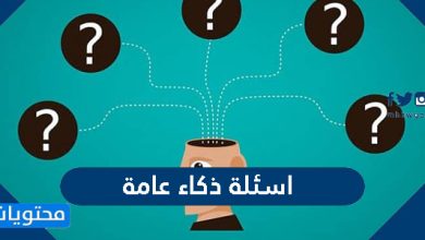 اسئلة ذكاء عامة