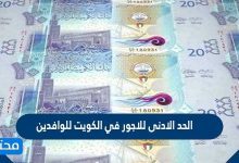 الحد الادنى للاجور في الكويت للوافدين 2026