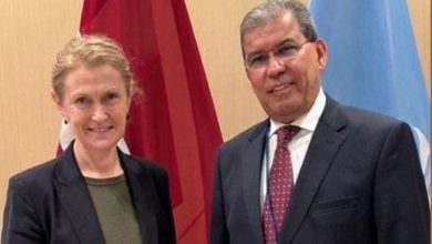 السعدي يناقش مع أعضاء مجلس الامن جهود مجلس القيادة لاحتواء التصعيد في المحافظات الشرقية