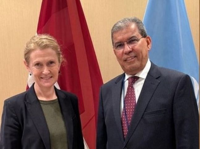 السعدي يناقش مع أعضاء مجلس الامن جهود مجلس القيادة لاحتواء التصعيد في المحافظات الشرقية