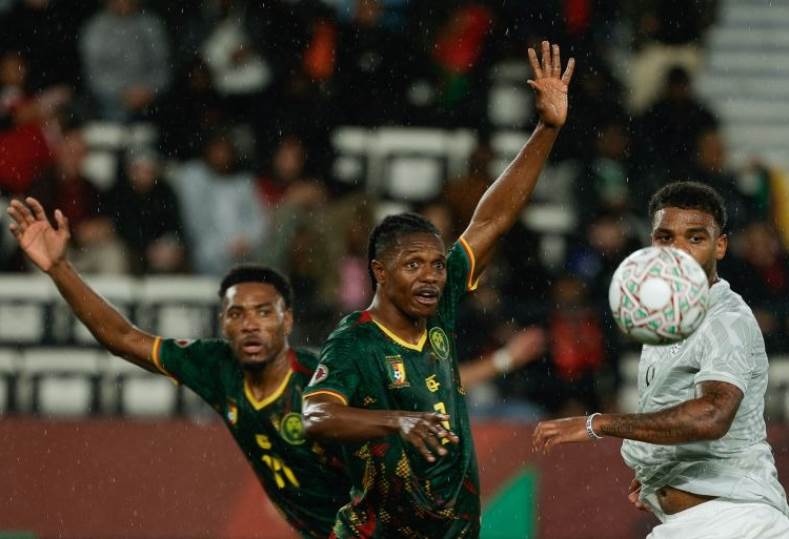 الكاميرون وجنوب إفريقيا