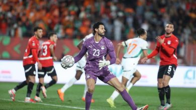 محمد الشناوي