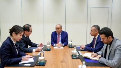 رئيس الوزراء يستقبل السفير الياباني لدى اليمن