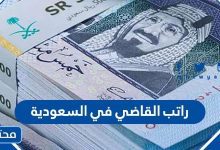 راتب القاضي في السعودية