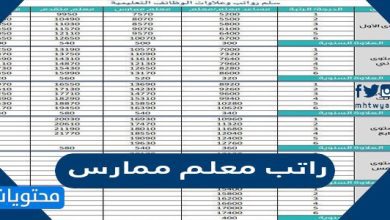 راتب معلم ممارس