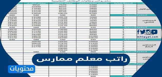 راتب معلم ممارس