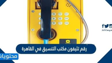 رقم تليفون مكتب التنسيق في القاهرة 2026