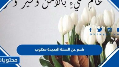 شعر عن السنة الجديدة 2024 مكتوب
