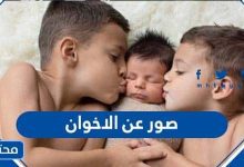 صور عن الاخوان