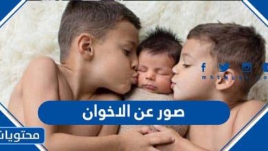 صور عن الاخوان