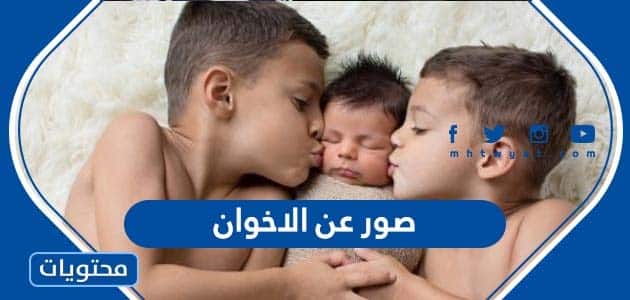 صور عن الاخوان