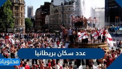 عدد سكان بريطانيا 2026 - موقع محتويات