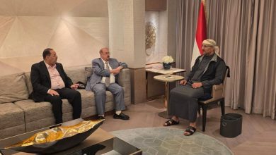 عضو مجلس القيادة طارق صالح يلتقي رئيس مجلس النواب