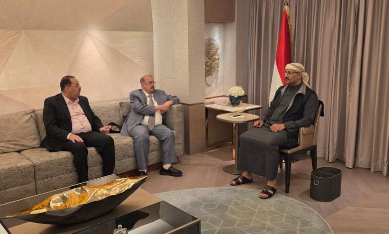 عضو مجلس القيادة طارق صالح يلتقي رئيس مجلس النواب