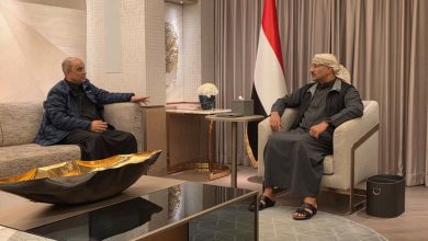 عضو مجلس القيادة طارق صالح يلتقي رئيس مجلس الوزراء