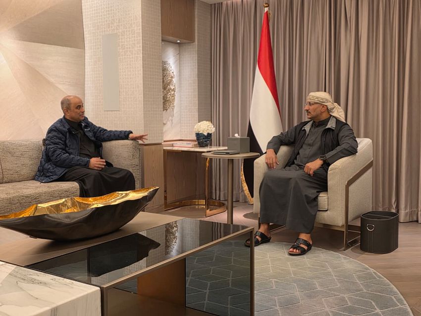 عضو مجلس القيادة طارق صالح يلتقي رئيس مجلس الوزراء