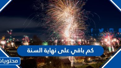 كم باقي على نهاية السنة