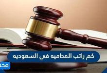 كم راتب المحاميه في السعوديه
