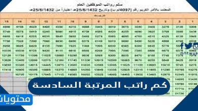 كم راتب المرتبة السادسة