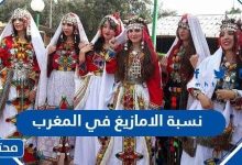 كم نسبة الامازيغ في المغرب 2023