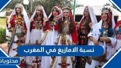 كم نسبة الامازيغ في المغرب 2023