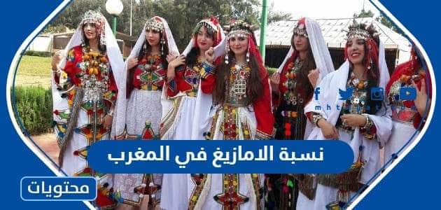 كم نسبة الامازيغ في المغرب 2023