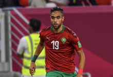 محمد الشيبي