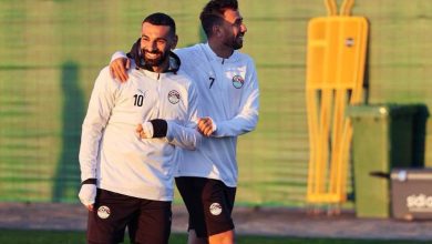 محمود تريزيجية