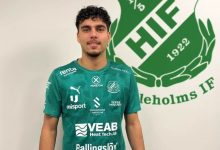 أنس الحملاوي