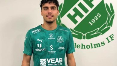 أنس الحملاوي