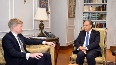 مصر تجدد موقفها الثابت والداعم لوحدة وسيادة اليمن وسلامة أراضيها