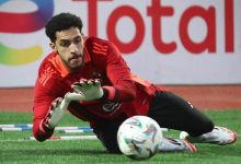 مصطفى شوبير