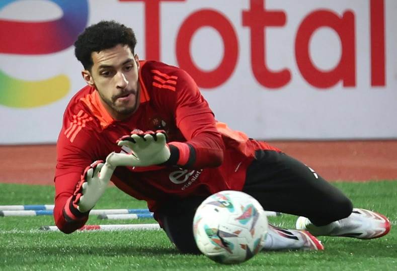 مصطفى شوبير