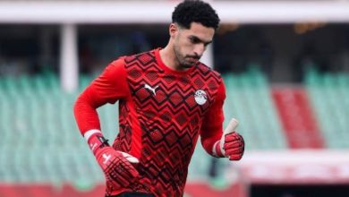 مصطفى شوبير