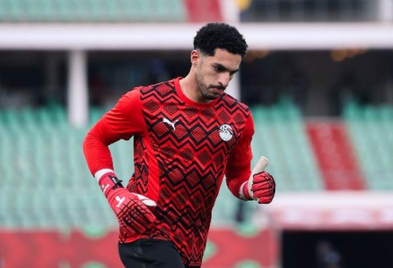 مصطفى شوبير