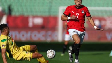 محمود تريزيجيه