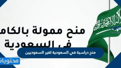 منح دراسية في السعودية لغير السعوديين 2026