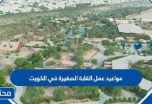 مواعيد عمل الغابة الصغيرة في الكويت