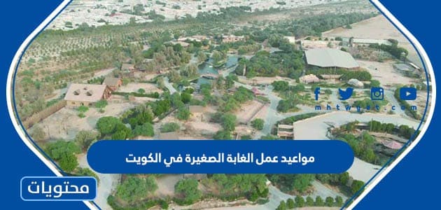 مواعيد عمل الغابة الصغيرة في الكويت
